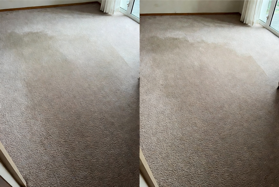 Freshly cleaned carpet with grooming lines in a Lakes Region home